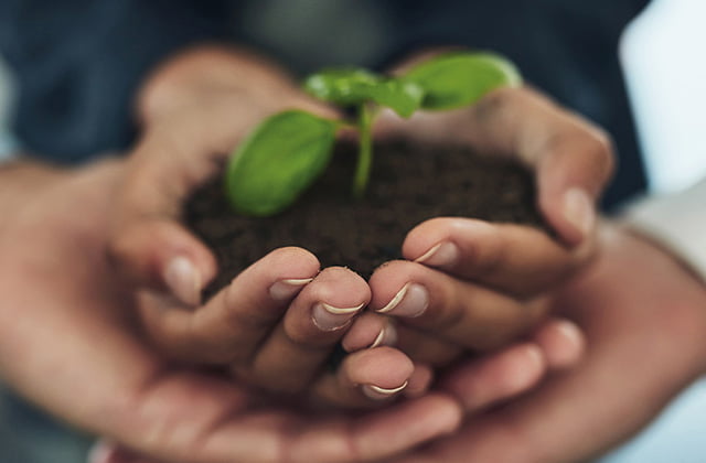 ethical-investment chart