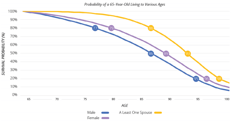 survival probability graph